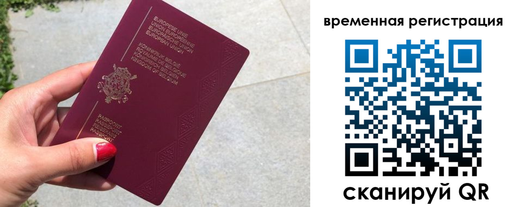 пропишу в квартире в Бронницах